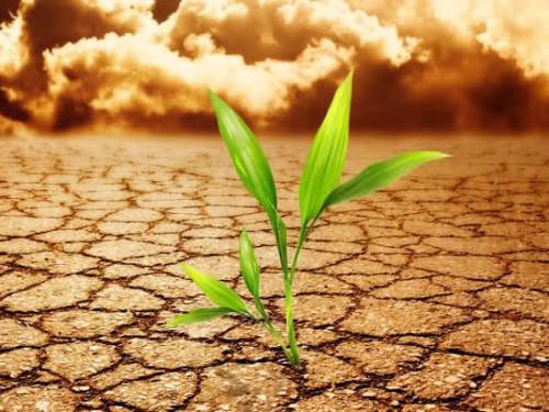 Как сделать правильно перестановку в комнате. Начало 04 Как сделать правильно перестановку в комнате. Начало 04