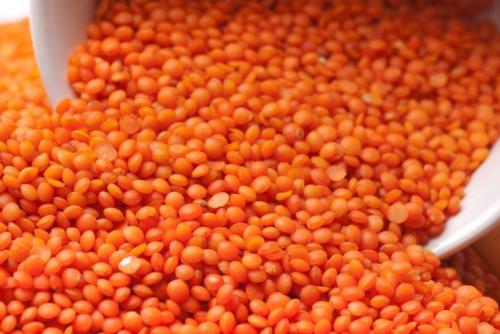 Как приготовить красную чечевицу. Как правильно варить красную чечевицу