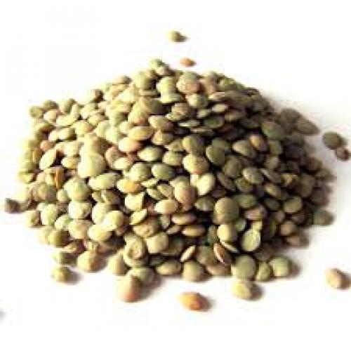 Чем полезна чечевица. Чечевица: полезные свойства