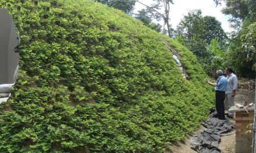 Как построить домик хоббита. “Домик хоббита” из современных материалов, который можно построить всего за три дня