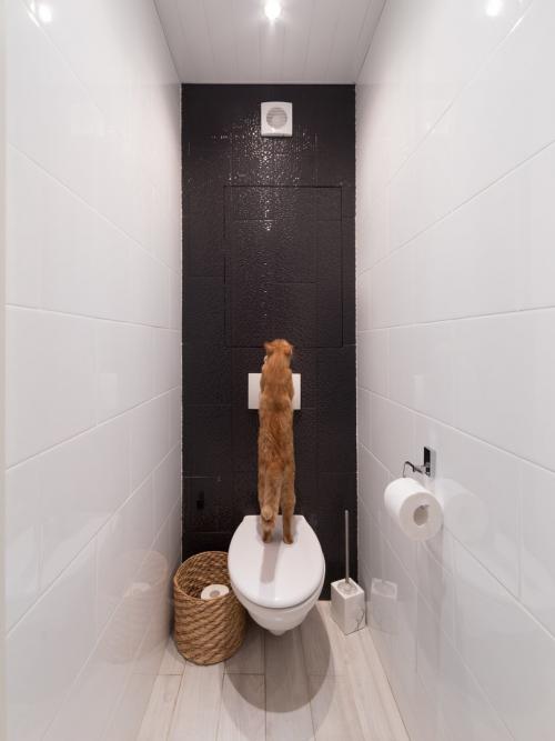 Как Вам свежий ремонт в старом доме? 01