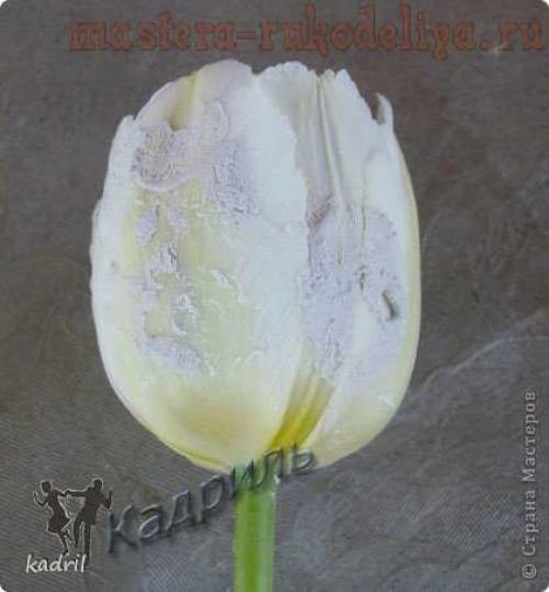 Цветы из гипса своими руками. Мастер-класс: Гипсовые отливки по тюльпанам 05 Цветы из гипса своими руками. Мастер-класс: Гипсовые отливки по тюльпанам 05
