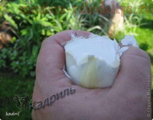 Цветы из гипса своими руками. Мастер-класс: Гипсовые отливки по тюльпанам 04 Цветы из гипса своими руками. Мастер-класс: Гипсовые отливки по тюльпанам 04