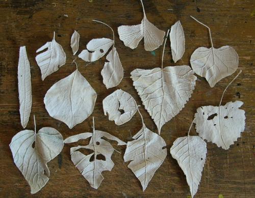 Цветы из гипса своими руками. Мастер-класс: Гипсовые отливки по тюльпанам 40 Цветы из гипса своими руками. Мастер-класс: Гипсовые отливки по тюльпанам 40