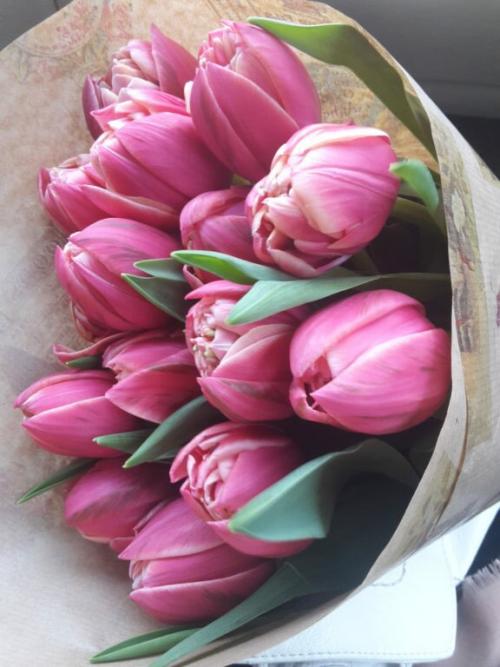 Как сохранить тюльпаны в горшке. Как вырастить тюльпаны в цветочном горшке и на клумбе?