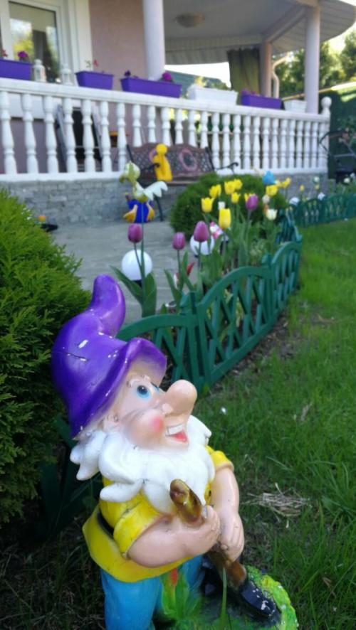 Как сохранить тюльпаны в горшке. Как вырастить тюльпаны в цветочном горшке и на клумбе?