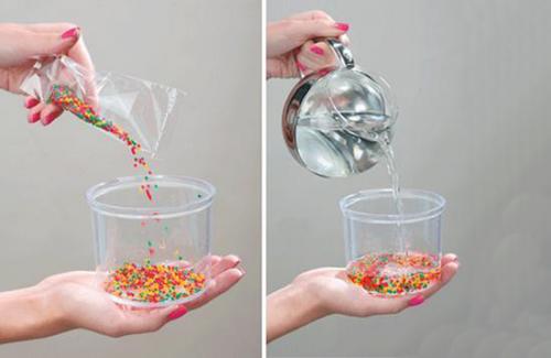 Тюльпаны в гидрогеле. Выращивание тюльпанов в домашних условиях: советы и правила