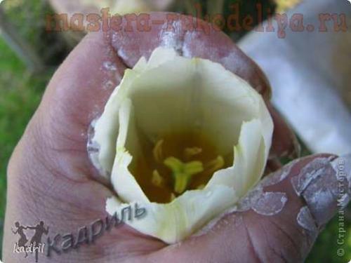 Цветы из гипса своими руками. Мастер-класс: Гипсовые отливки по тюльпанам 02 Цветы из гипса своими руками. Мастер-класс: Гипсовые отливки по тюльпанам 02