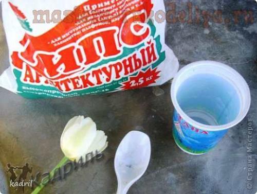 Цветы из гипса своими руками. Мастер-класс: Гипсовые отливки по тюльпанам 01 Цветы из гипса своими руками. Мастер-класс: Гипсовые отливки по тюльпанам 01