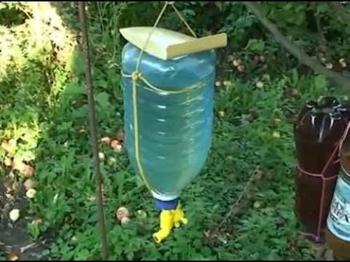 Клумбы из 5 литровых пластиковых бутылок. 5 необычных идей применения пластиковых 5 литровых бутылок на даче