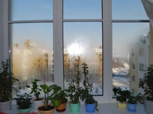 Что делать, чтобы не потели окна. Средство от запотевания окон в доме