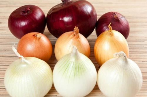 Хранение овощей в квартире. Хозяйство вести – не грушу трясти. Как сохранить овощи в квартире зимой