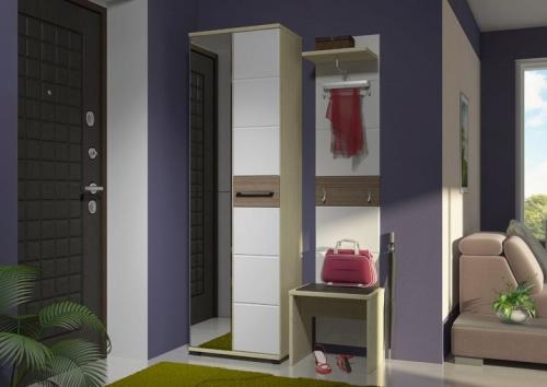Компактные прихожие в маленький коридор. Грамотный дизайн в тесной обстановке 03