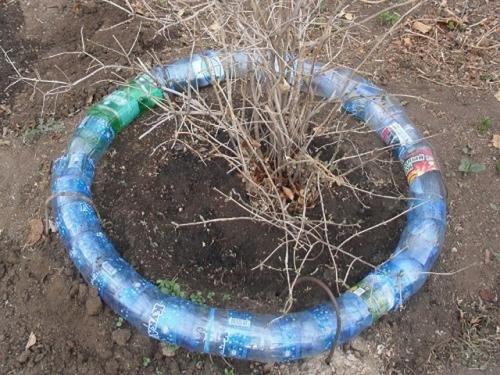 Поделки из пластиковых бутылок для сада и огорода. Поделки из пластиковых бутылок для дачи, сада и огорода: идеи, схемы и мастер-классы