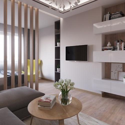 Идея зонирования в однокомнатной квартире 03