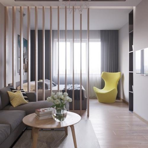 Идея зонирования в однокомнатной квартире 02