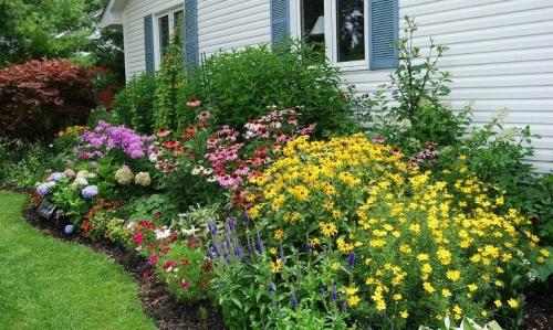 Малоуходный газон. Малоуходный сад своими руками