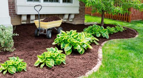 Малоуходный сад основные правила. 7 секретов сада, за которым легко ухаживать