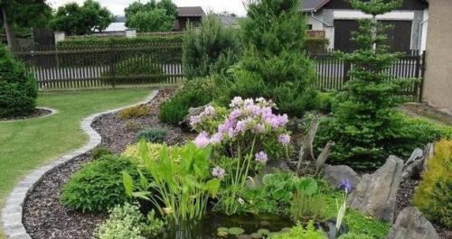 Малоуходный сад основные правила. 7 секретов сада, за которым легко ухаживать