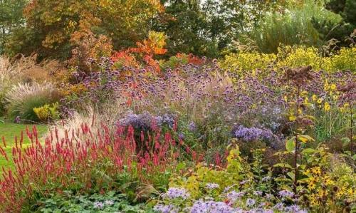 Малоуходный газон. Малоуходный сад своими руками