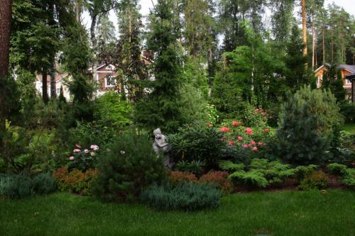 Малоуходный газон. Малоуходный сад своими руками