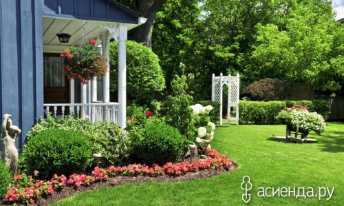 Сад минимального ухода. Малоуходный сад для занятых людей