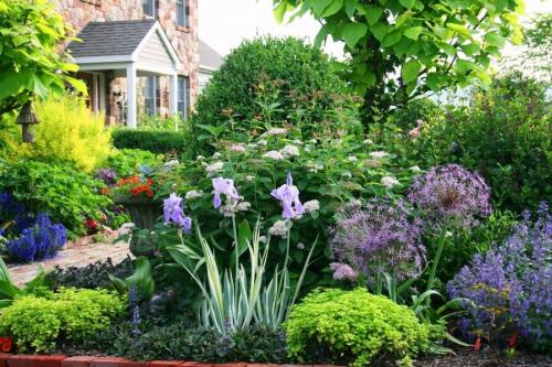 Малоуходный газон. Малоуходный сад своими руками