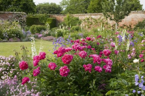 Малоуходный газон. Малоуходный сад своими руками