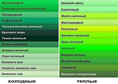 Кухня в зеленых тонах. Зеленый — это, какой оттенок?