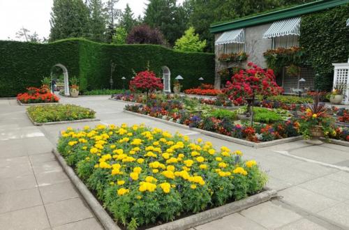 Готовые схемы и проекты клумб. Варианты оформления клумбы