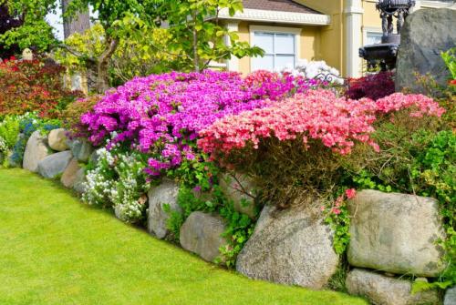 Готовые схемы и проекты клумб. Варианты оформления клумбы