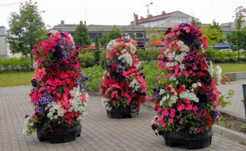 Готовые схемы и проекты клумб. Варианты оформления клумбы