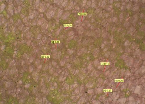 Утеплитель эппс. Экструзионный пенополистирол 03 Утеплитель эппс. Экструзионный пенополистирол 03