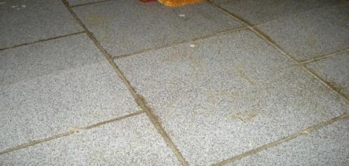 Кафельная плитка для ванной на пол, как класть в деревянном доме. Сложности при укладке плитки