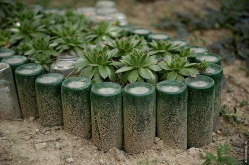 Клумбы из 5 литровых пластиковых бутылок. Клумба из бутылок: 130 фото примеров оформления участка при помощи пластиковой и стеклянной тары