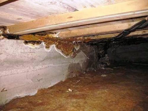 Зачем закрывать продухи на зиму в многоквартирном доме. Вентиляция цоколя: нужны ли продухи?