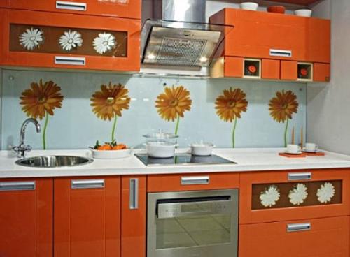 Пластиковые панели для кухни с рисунком. Когда бюджетно не значит плохо: пластиковые панели для кухни (51 фото) и 3 способа их установки