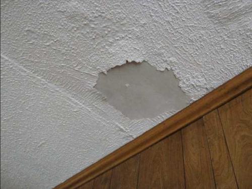 Из чего сделать потолок в ванной в частном доме. Какой потолок лучше сделать в ванной