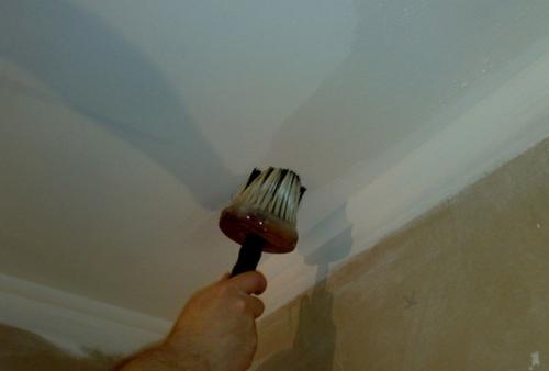 Из чего сделать потолок в ванной в частном доме. Какой потолок лучше сделать в ванной