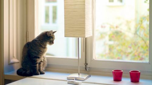 Как сделать евроокна своими руками. Как сделать окно своими руками: пошаговая инструкция, как изготовить и установить современное окно (115 фото + видео)