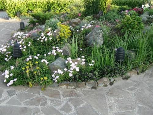 Озеленение дачного участка. ОСОБЕННОСТИ ПРОВЕДЕНИЯ РАБОТ 02