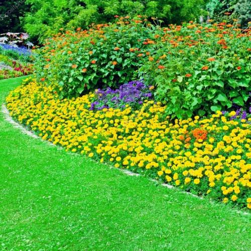 Красивые клумбы на дачном участке. Красивые клумбы — варианты оформления, правила организации, выбор места, советы новичкам + 99 фото