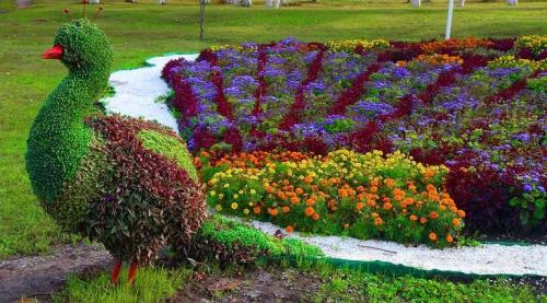 Красивые клумбы на дачном участке. Красивые клумбы — варианты оформления, правила организации, выбор места, советы новичкам + 99 фото