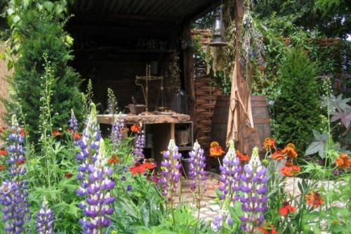 Миксбордер из лилейников. Как создать миксбордер