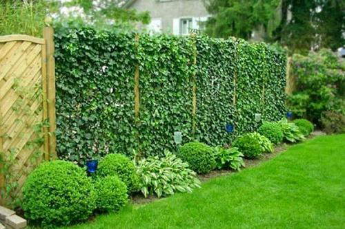 Как отделить сад от огорода. Как спрятать огород на участке?