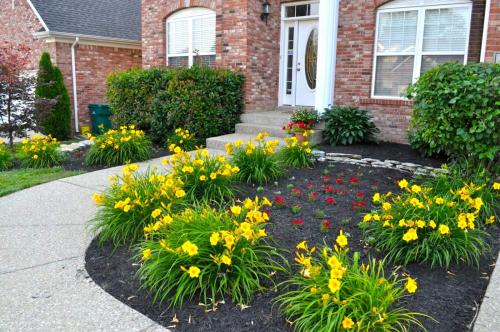 Как оформить клумбу возле дома. Этапы создания клумбы в саду (пошагово)