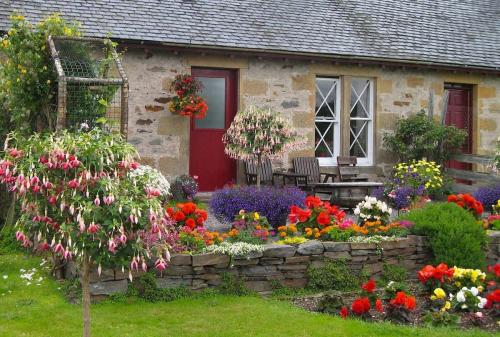 Как оформить клумбу возле дома. Этапы создания клумбы в саду (пошагово)