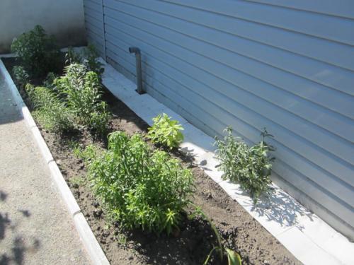 Дизайн отмостки вокруг дома. Отмостка дома своими руками —, как сделать защита фундамента? Пошаговая инструкция (71 фото)