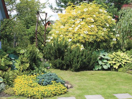 Как отделить сад от огорода. Как спрятать огород на участке?