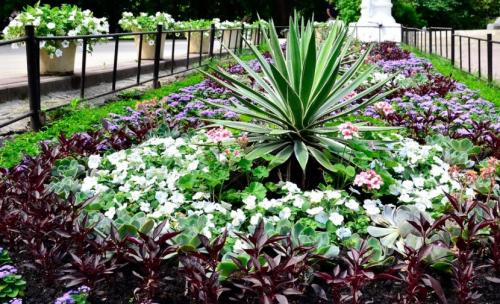 Красивые клумбы на дачном участке. Красивые клумбы — варианты оформления, правила организации, выбор места, советы новичкам + 99 фото